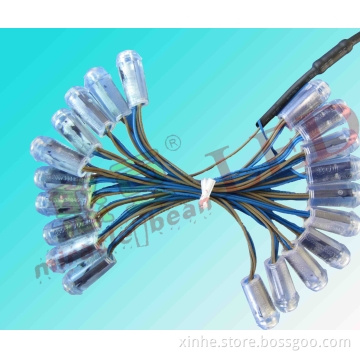 LED Sign Light Miracle Bean 3G 12V With CE, Rope Light